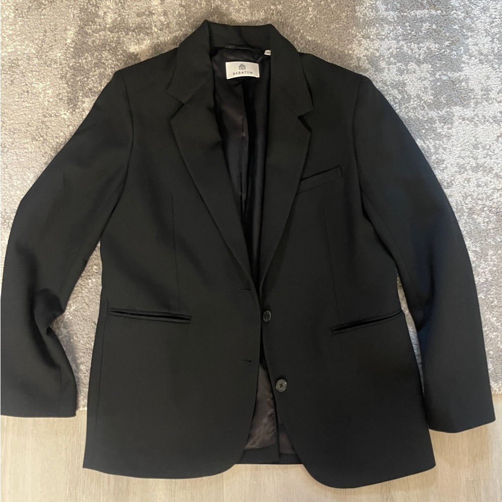 Aritzia Babaton Oversized Blazer